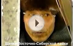 Охота с вс лайкой.mpg