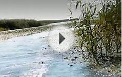 Плавни Краснодарского края